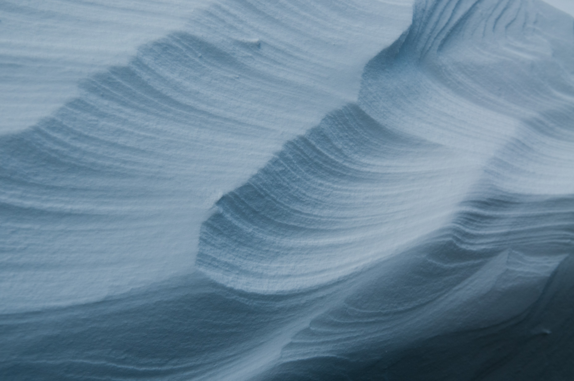 20100130_tuckerman-6013