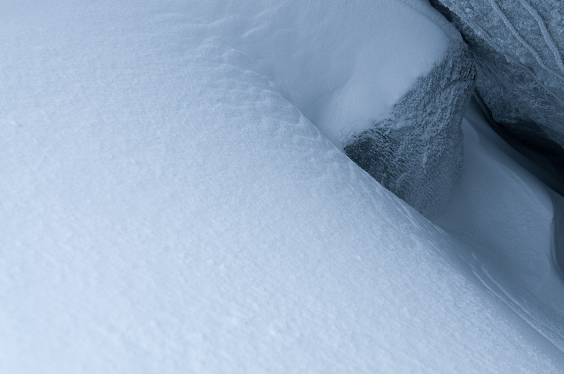 20120202-_JCK0133