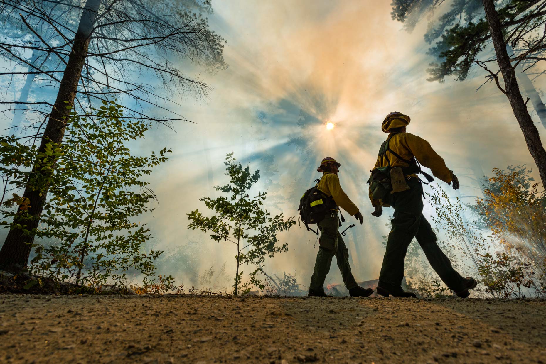 Wildland Fire fighters during a prescribed burn