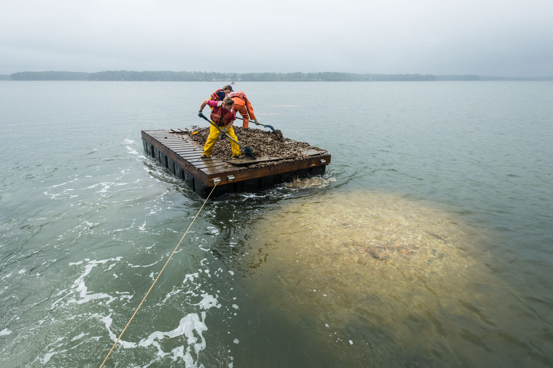 Oyster Restoration in Great Bay